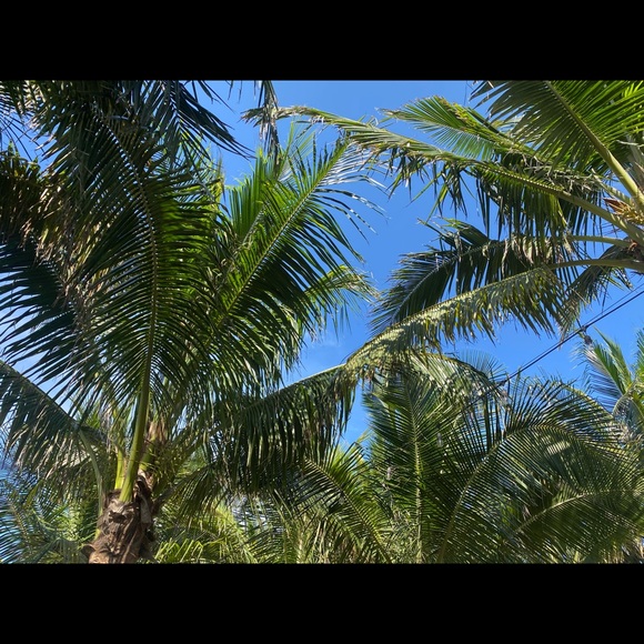 Meet your Posher, Sarah - Picture 1 of 1